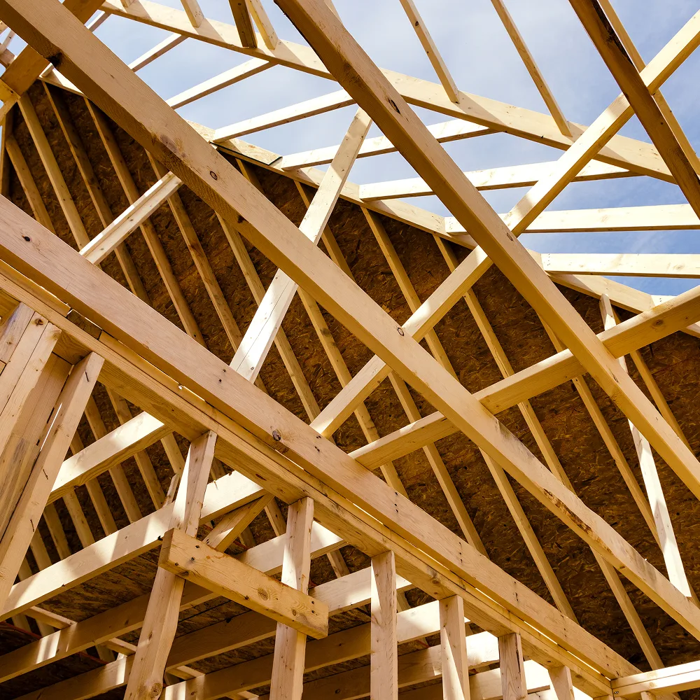 Traitement de charpente contre les insectes xylophages à Jurançon